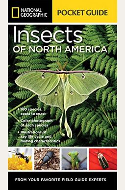 National Geographic Pocket Guide To Insects Of North America National Geographic Pocket Guide To Insects Of North America