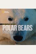 Face To Face With Polar Bears