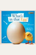 Zigzag: What's In That Egg?: A Book About Life Cycles