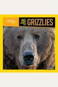 Face To Face With Grizzlies