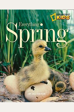 Everything Spring Everything Spring