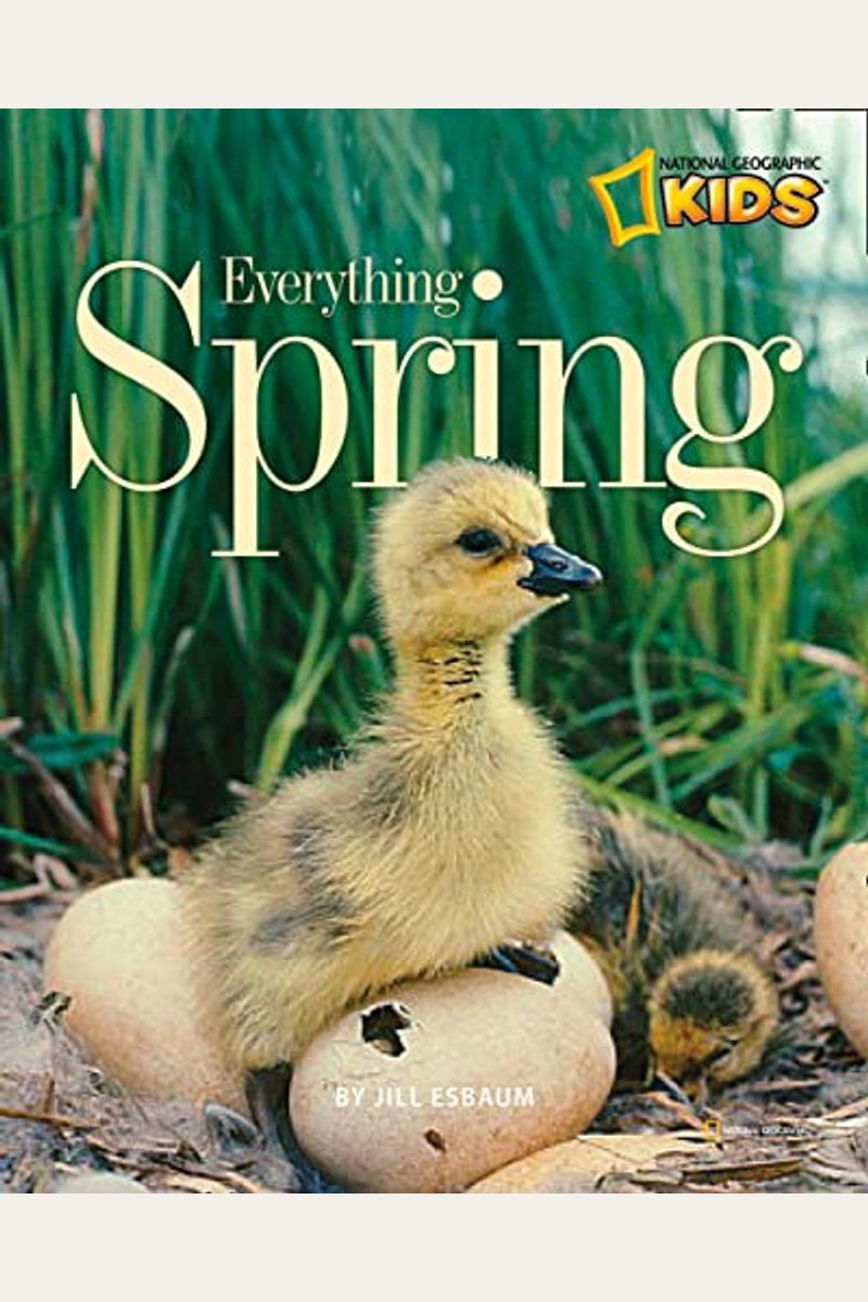 Everything Spring
