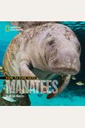 Face To Face With Manatees (Face To Face With Animals)