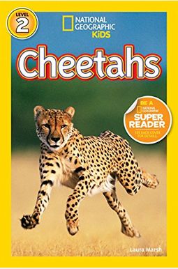 Cheetahs Cheetahs