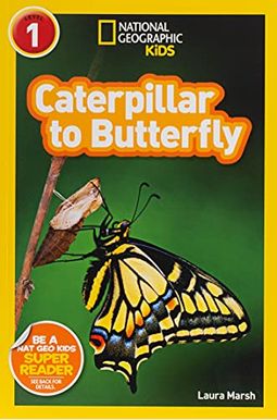 Caterpillar to Butterfly Caterpillar to Butterfly
