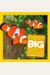 National Geographic Little Kids First Big Book Of The Ocean (National Geographic Little Kids First Big Books)