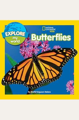 Explore My World Butterflies Explore My World Butterflies