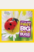 National Geographic Little Kids First Big Book Of Bugs (National Geographic Little Kids First Big Books)
