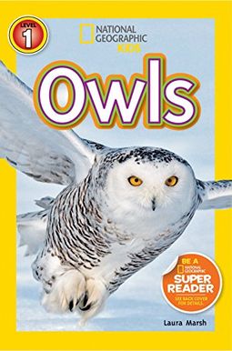 Owls Owls