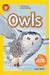 Owls