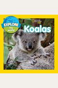 Explore My World Koalas