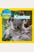 Explore My World Koalas