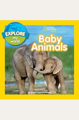 Explore My World Baby Animals Explore My World Baby Animals
