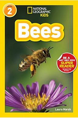 Bees Bees