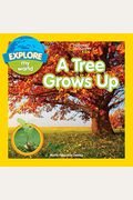 Explore My World: A Tree Grows Up