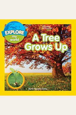 Explore My World: A Tree Grows Up Explore My World: A Tree Grows Up