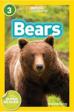 Bears Bears