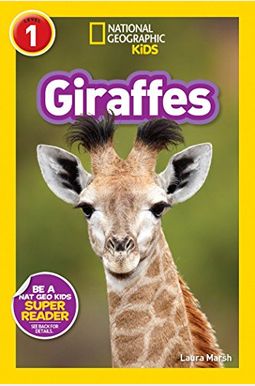 Giraffes Giraffes