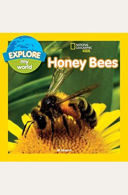Explore My World: Honey Bees Explore My World: Honey Bees