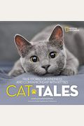 Cat Tales: True Stories Of Kindness And Companionship With Kitties