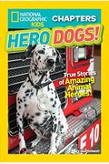 Hero Dogs!: True Stories Of Amazing Animal Heroes!