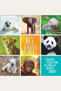 Hey, Baby!: A Collection Of Pictures, Poems, And Stories From Nature's Nursery