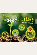 A Seed Is The Start