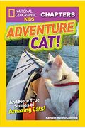 Adventure Cat!: And True Stories Of Adventure Cats!