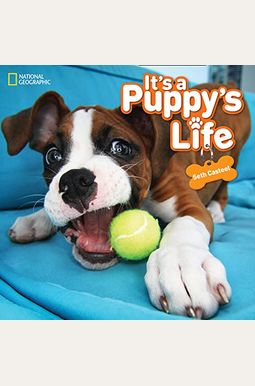 It's a Puppy's Life It's a Puppy's Life
