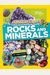Absolute Expert: Rocks & Minerals
