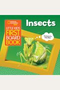 Little Kids First Board Book: Insects