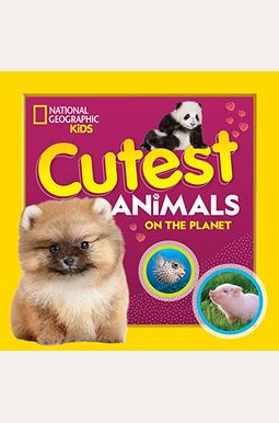 Cutest Animals On The Planet Cutest Animals On The Planet