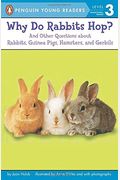 Why Do Rabbits Hop?: And Other Questions About Rabbits, Guinea Pigs, Hamsters, And Gerbils