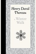 A Winter Walk
