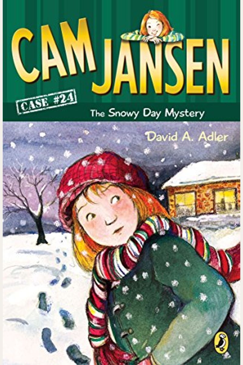 The Snowy Day Mystery