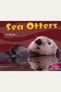 Sea Otters (Under the Sea)