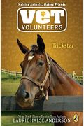 Trickster #3 (Vet Volunteers)