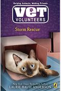 Storm Rescue: Sunita