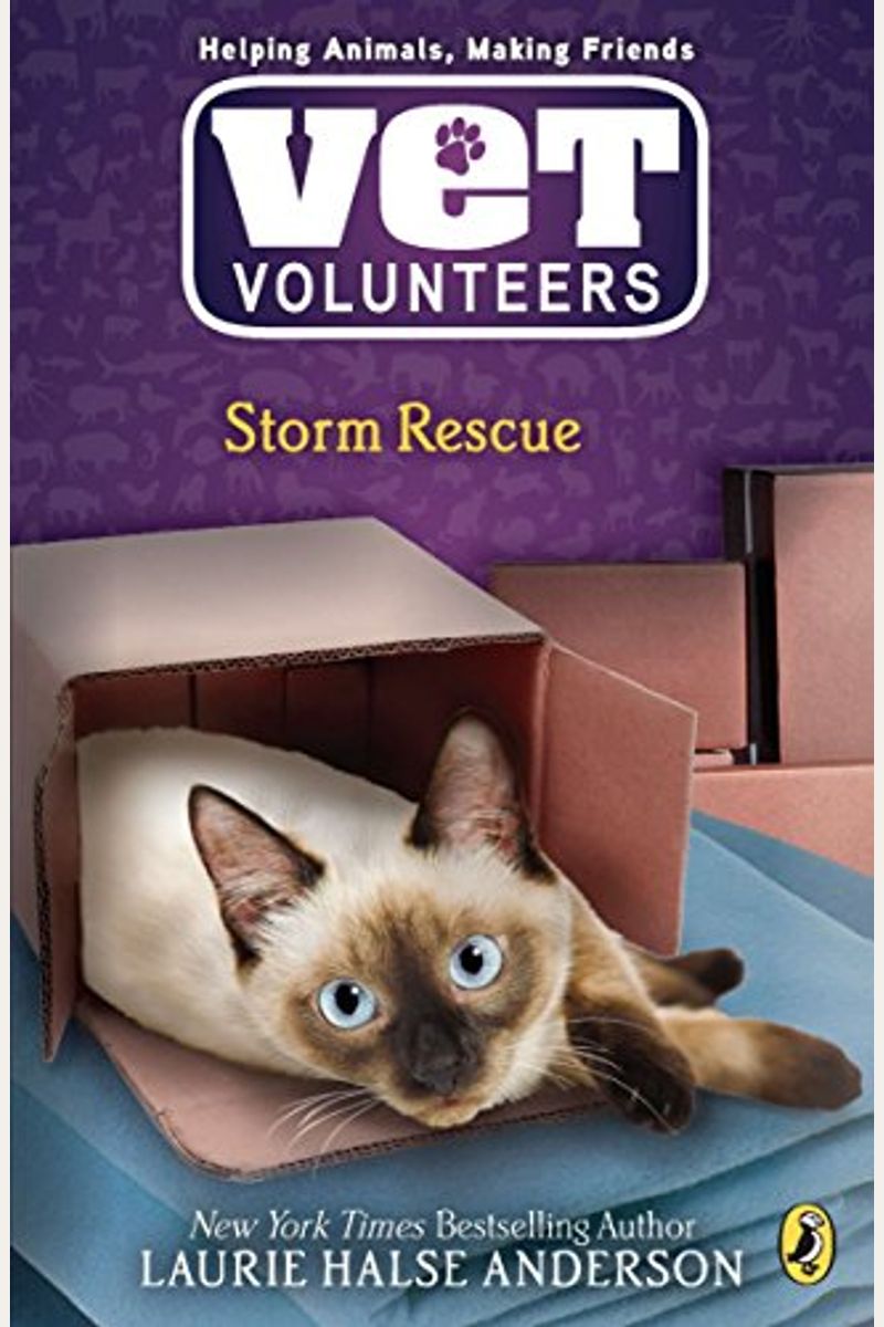 Storm Rescue: Sunita