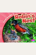 Look Inside A Robin's Nest