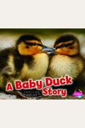 A Baby Duck Story