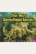 The Best Camouflaged Animals
