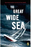 The Great Wide Sea