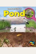Pond: Look Inside