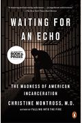 Waiting For An Echo: The Madness Of American Incarceration