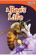 A Bee's Life