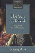The Son of David (a 10-Week Bible Study), 3: Seeing Jesus in the Historical Books