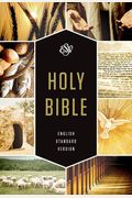 New Classic Reference Bible-Esv