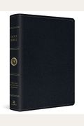 Esv Large Print Wide Margin Bible (Trutone, Brown/Cordovan, Portfolio Design)
