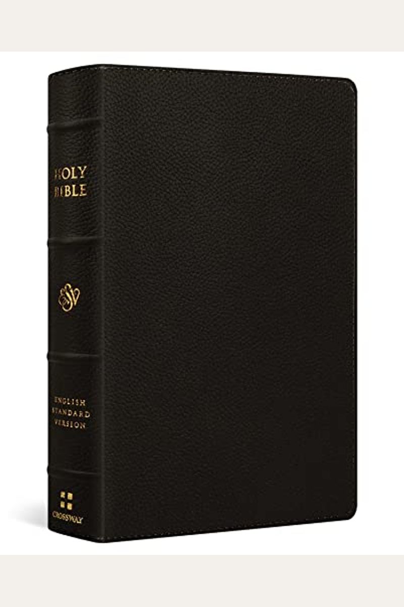 Esv Large Print Personal Size Bible (Trutone, Forest/Tan, Trail Design)
